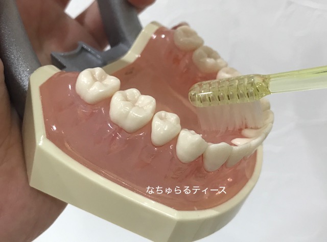 かかと磨き 歯医者 長崎